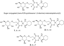 Graphical abstract: Highly water-soluble platinum(ii) complexes as GLUT substrates for targeted therapy: improved anticancer efficacy and transporter-mediated cytotoxic properties