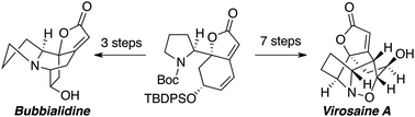 Graphical abstract: Enantioselective total synthesis of virosaine A and bubbialidine