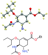 Graphical abstract: The elusive crystal structure of the neuraminidase inhibitor Tamiflu (oseltamivir phosphate): molecular details of action