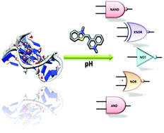 Graphical abstract: pH dependent multifunctional and multiply-configurable logic gate systems based on small molecule G-quadruplex DNA recognition