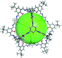 Graphical abstract: Self-assembly of a covalent organic cage with exceptionally large and symmetrical interior cavity: the role of entropy of symmetry