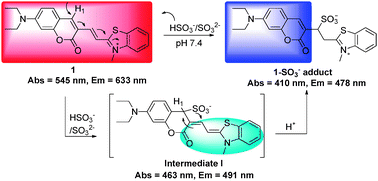 Graphical abstract: Fluorescent probe for biological gas SO2 derivatives bisulfite and sulfite