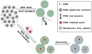 Graphical abstract: A soft-templated method to synthesize sintering-resistant Au–mesoporous-silica core–shell nanocatalysts with sub-5 nm single-cores