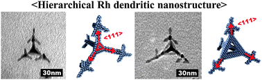 Graphical abstract: Fabrication of hierarchical Rh nanostructures by understanding the growth kinetics of facet-controlled Rh nanocrystals