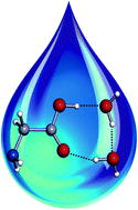 Graphical abstract: Observation of dihydrated glycine