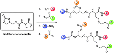 A novel multifunctional coupler: the concept of coupling and proof of principle