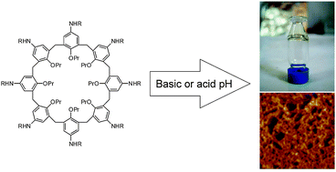 Graphical abstract: Novel pH responsive calix[8]arene hydrogelators: self-organization processes at a nanometric scale