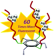Graphical abstract: Enhanced fluorescence of silver nanoclusters stabilized with branched oligonucleotides