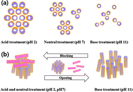 Graphical abstract: Opening and blocking the inner-pores of halloysite