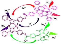 Graphical abstract: A broad-band capturing and emitting molecular triad: synthesis and photochemistry