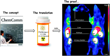 Graphical abstract: Translating the concept of peptidelabeling with 5-deoxy-5-[18F]fluororibose into preclinical practice: 18F-labeling of Siglec-9 peptide for PET imaging of inflammation