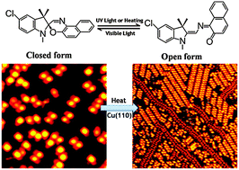 Graphical abstract: A molecular conformational change induced self-assembly: from randomness to order