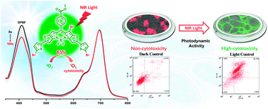 Graphical abstract: Thienopyrrole-expanded BODIPY as a potential NIR photosensitizer for photodynamic therapy