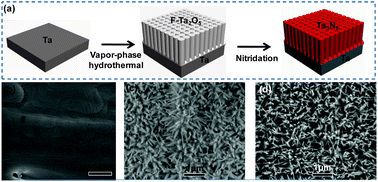 Graphical abstract: Template-free synthesis of Ta3N5 nanorod arrays for efficient photoelectrochemical water splitting