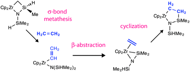 Graphical abstract: C–H bond activation of ethylene by a zirconacycle
