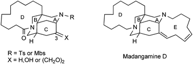 Graphical abstract: First enantioselective synthesis of tetracyclic intermediates en route to madangamine D