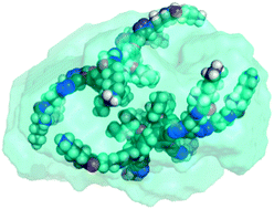 Graphical abstract: A bimolecular micelle constructed from amphiphilic pillar[5]arene molecules