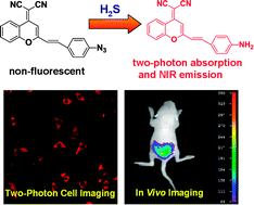 Graphical abstract: A two-photon fluorescent probe with near-infrared emission for hydrogen sulfide imaging in biosystems