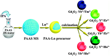 Graphical abstract: Universal and facile synthesis of multicolored upconversion hollow nanospheres using novel poly(acrylic acid sodium salt) microspheres as templates