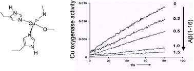 Graphical abstract: Copper–β-amyloid peptides exhibit neither monooxygenase nor superoxide dismutase activities