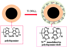 Graphical abstract: Facile synthesis of Ti4+-immobilized Fe3O4@polydopamine core–shell microspheres for highly selective enrichment of phosphopeptides