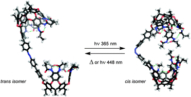 Graphical abstract: Synthesis and recognition studies with a ditopic, photoswitchable deep cavitand