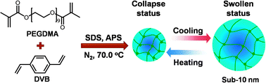 Graphical abstract: One-pot aqueous synthesis of sub-10 nm responsive nanogels