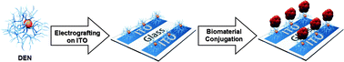 Graphical abstract: Electrooxidative grafting of amine-terminated dendrimers encapsulating nanoparticles for spatially controlled surface functionalization of indium tin oxide