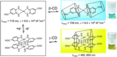 Graphical abstract: A molecular probe for recognizing the size of hydrophobic cavities based on near-infrared absorbing diradical–PtII complexes