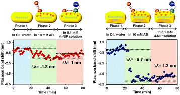 Graphical abstract: Quantification of electron transfer rates of different facets on single gold nanoparticles during catalytic reactions