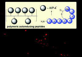 Graphical abstract: Multivalent alteration of quorum sensing in Staphylococcus aureus