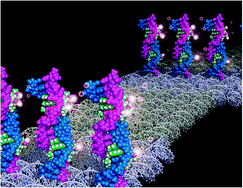 Graphical abstract: Ligand-induced electron spin-assembly on a DNA tile