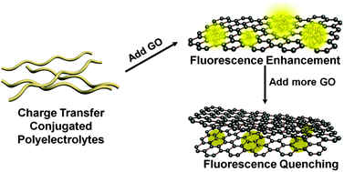 Graphical abstract: Graphene oxide enhanced fluorescence of conjugated polyelectrolytes with intramolecular charge transfer characteristics