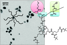 Graphical abstract: RAFT copolymerization of itaconic anhydride and 2-methoxyethyl acrylate: a multifunctional scaffold for preparation of “clickable” gold nanoparticles