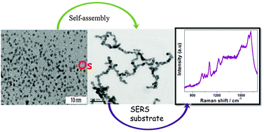 Graphical abstract: Interconnected, ultrafine osmium nanoclusters: preparation and surface enhanced Raman scattering activity