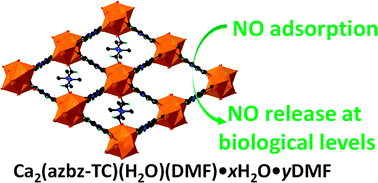 Graphical abstract: A rare example of a porous Ca-MOF for the controlled release of biologically active NO