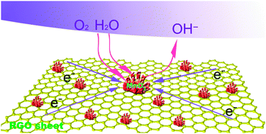 Graphical abstract: Direct growth of flower-like manganese oxide on reduced graphene oxide towards efficient oxygen reduction reaction