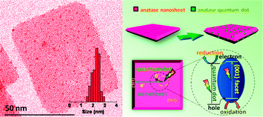 Graphical abstract: Quantum dot self-decorated TiO2 nanosheets