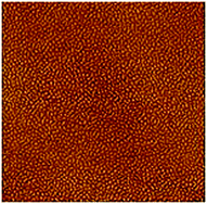 Graphical abstract: A unique embossed carbon layer from induced domain alignment in a block copolymer thin film under an electric field