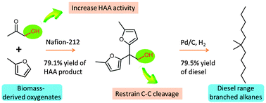 Graphical abstract: Synthesis of renewable diesel with hydroxyacetone and 2-methyl-furan