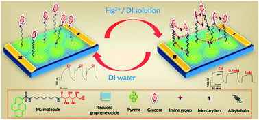 Graphical abstract: Ultrasensitive and selective sensing of heavy metal ions with modified graphene