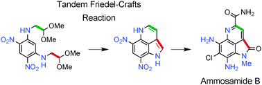 Graphical abstract: A tandem Friedel–Crafts based method for the construction of a tricyclic pyrroloquinoline skeleton and its application in the synthesis of ammosamide B