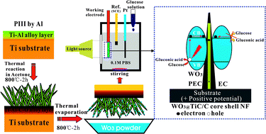 Graphical abstract: WO3 nanoparticles decorated core–shell TiC–C nanofiber arrays for high sensitive and non-enzymatic photoelectrochemical biosensing