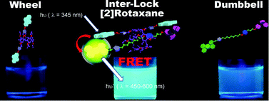 Graphical abstract: Förster resonance energy transfer by formation of a mechanically interlocked [2]rotaxane