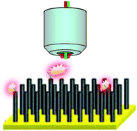 Graphical abstract: Plasmonic nanorod arrays for enhancement of single-molecule detection