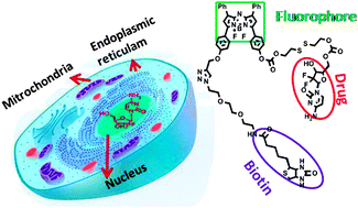 Graphical abstract: A fluorescence off–on reporter for real time monitoring of gemcitabine delivery to the cancer cells