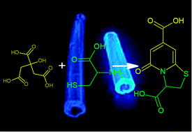 Graphical abstract: Luminescence phenomena of biodegradable photoluminescent poly(diol citrates)