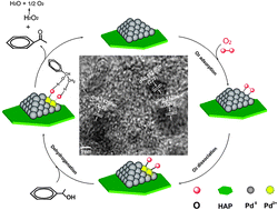 Graphical abstract: Palladium nanoparticles with high energy facets as a key factor in dissociating O2 in the solvent-free selective oxidation of alcohols