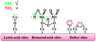 Graphical abstract: The relationship between structure and activity of MoO3–CeO2 catalysts for NO removal: influences of acidity and reducibility