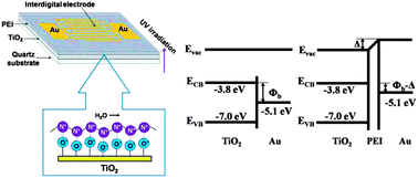 Graphical abstract: Influences of surface capping with electrostatically self-assembled PEI on the photoresponse of a TiO2 thin film